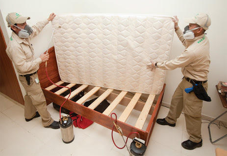 Bed Bug Control